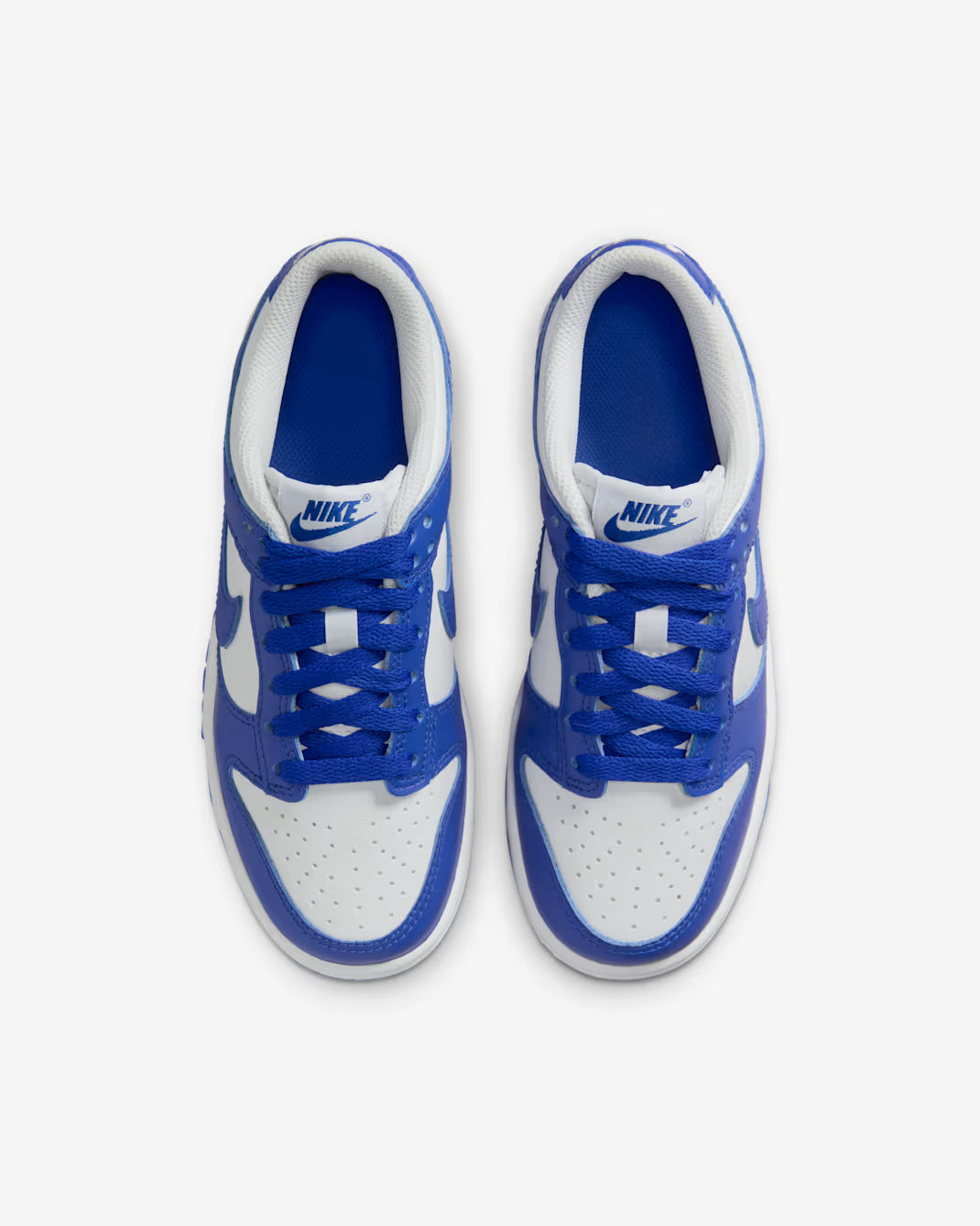 Baskets NK Dunk Low